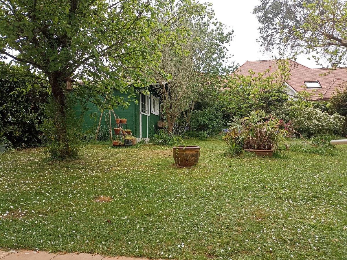 Cabinet de Lora Kergomard, chalet entouré de verdure